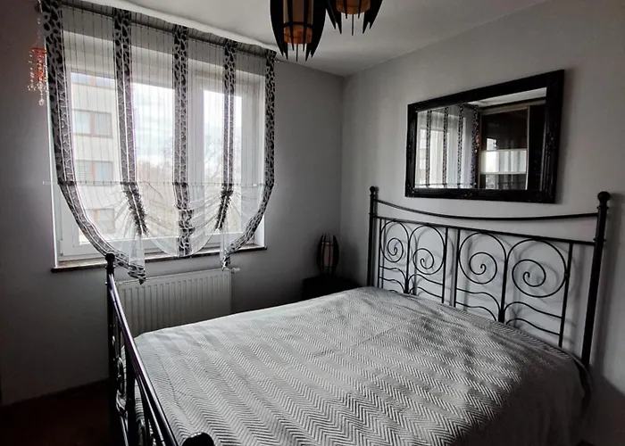 A Beautiful, Modern, Air-Conditioned And Furnished 3-Room Apartment